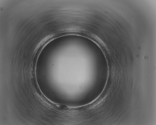 X0000085250930200703091254