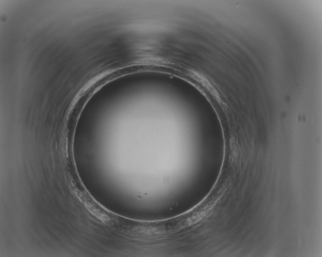 X0000085250931200703091254