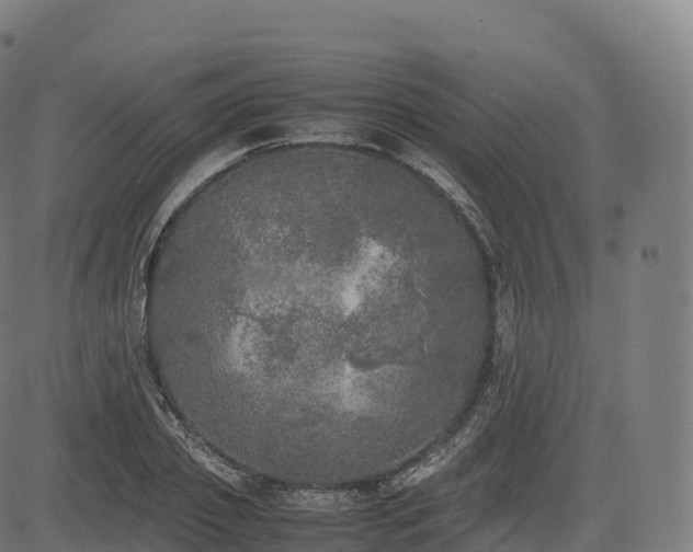 X0000085250933200703091254