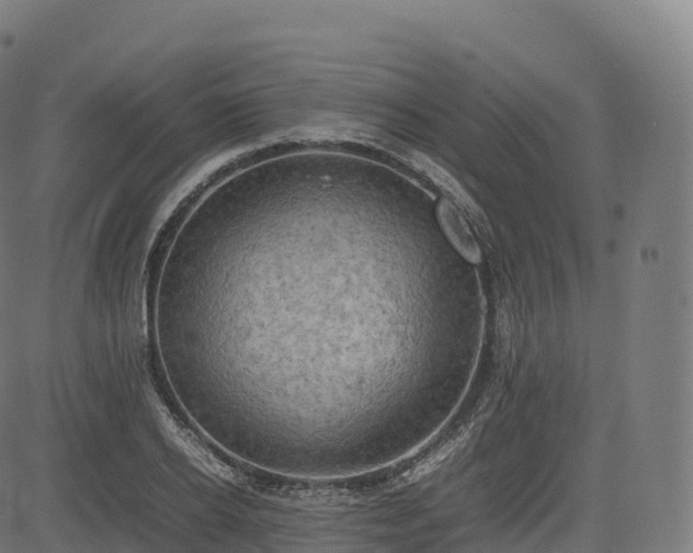 X0000085250934200703091254