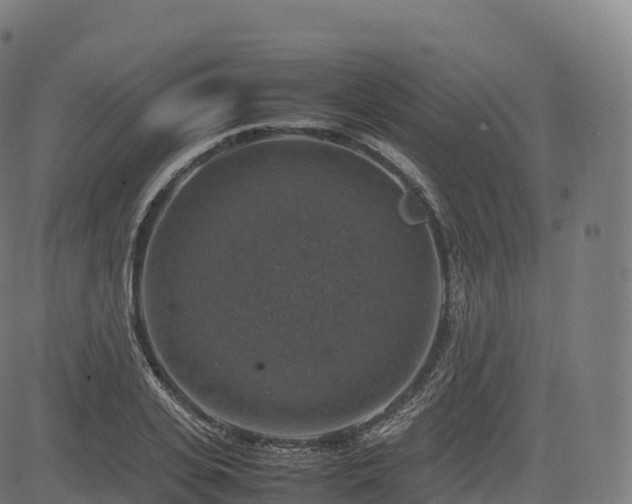 X0000085250935200703091254