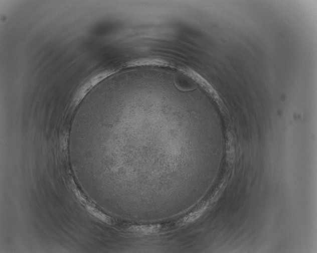 X0000085250937200703091254