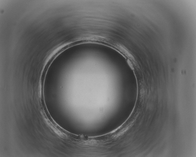 X0000085250940200703091254