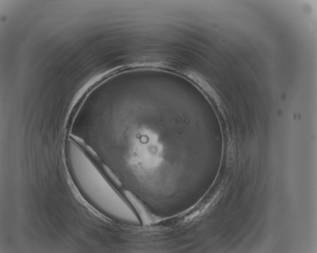 X0000085250941200703091254