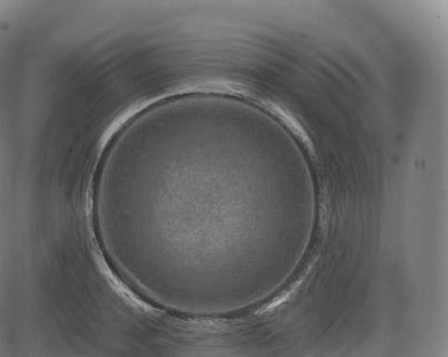 X0000085250944200703091254