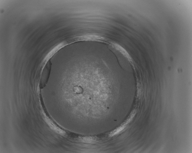 X0000085250946200703091254