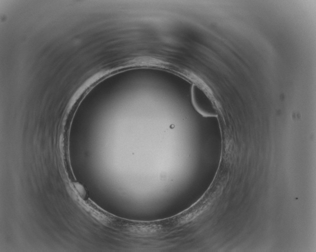 X0000085250947200703091254