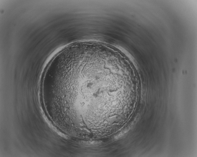 X0000085250949200703091254