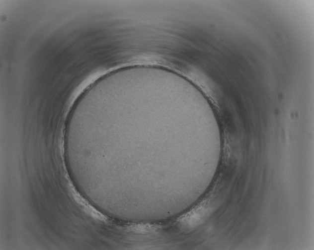 X0000085250950200703091254