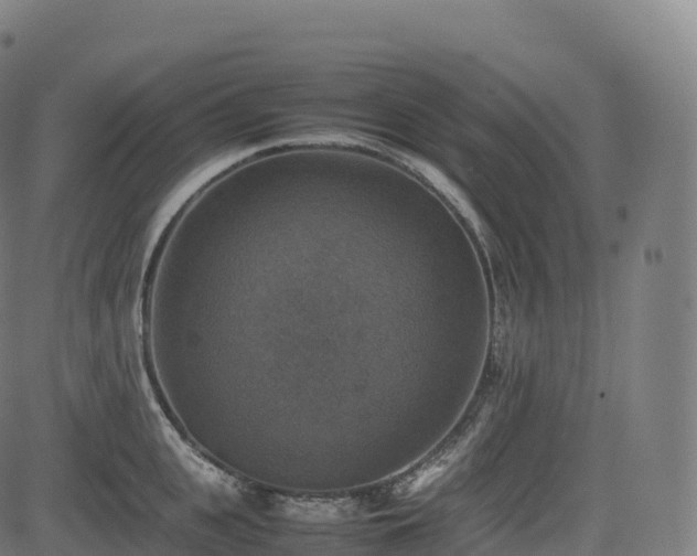 X0000085250951200703091254