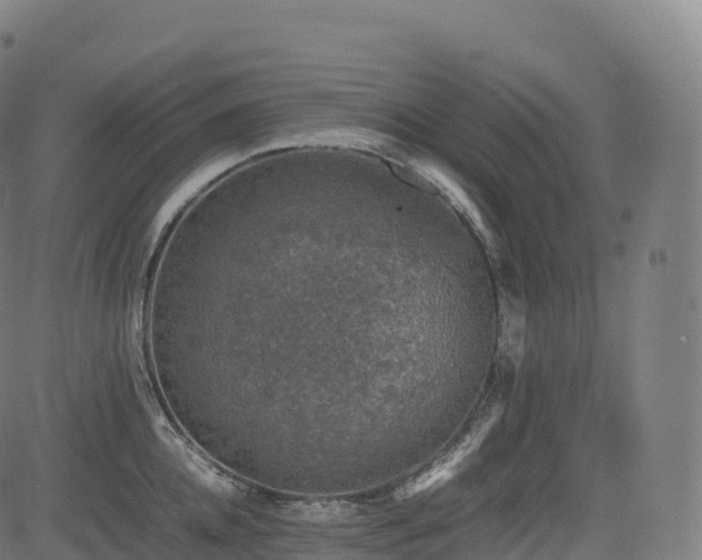 X0000085250952200703091254