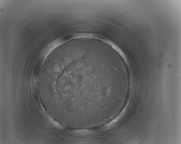 X0000085250953200703091254