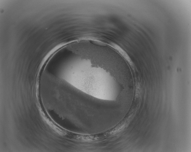 X0000085250955200703091254