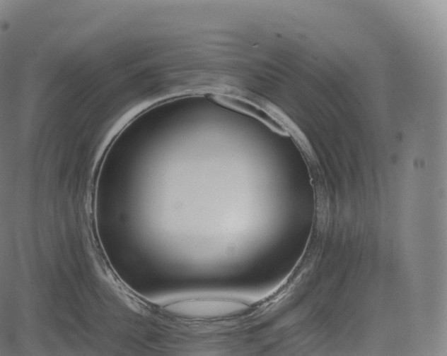 X0000085250956200703091254