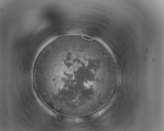 X0000085250957200703091255