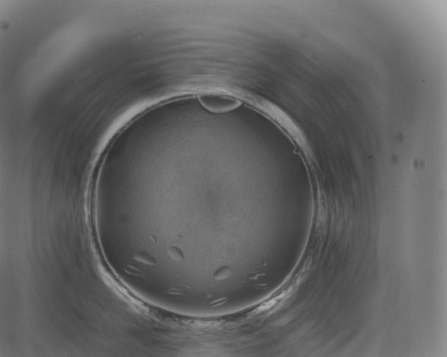 X0000085250958200703091255