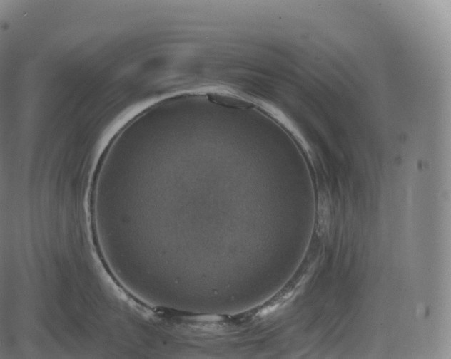 X0000085250959200703091255