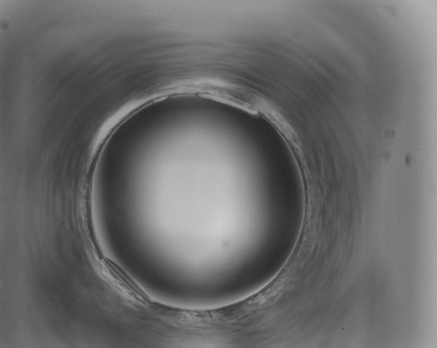 X0000085250960200703091255