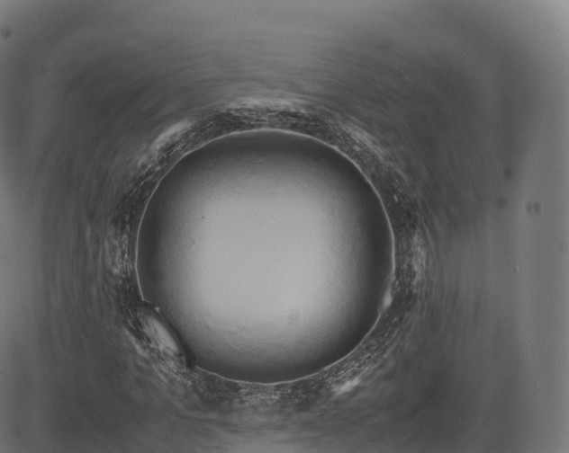 X0000085250965200703091254