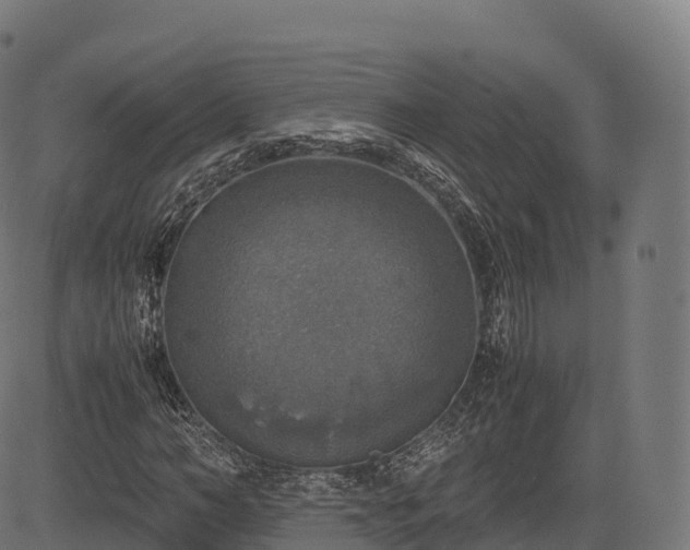 X0000085250966200703091254