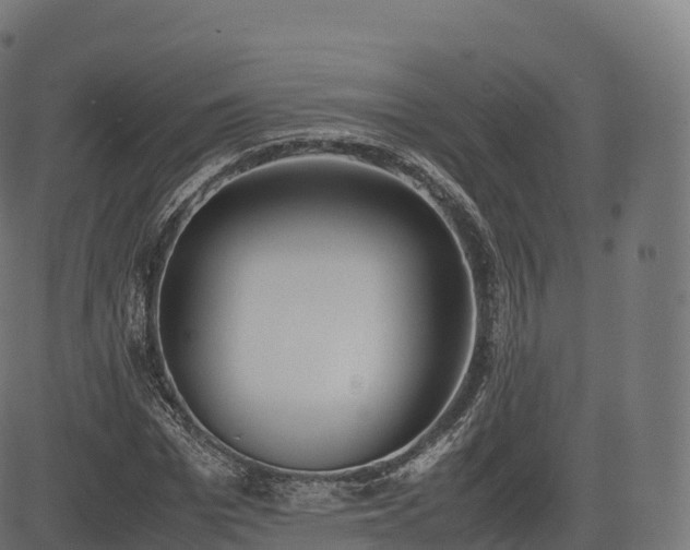 X0000085250969200703091254