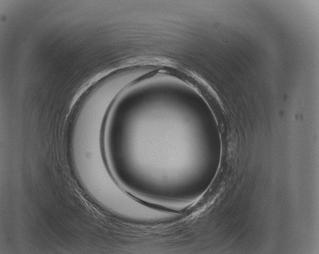 X0000085250973200703091254