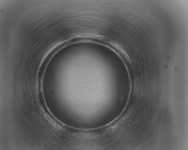 X0000085250976200703091254