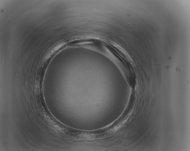 X0000085250977200703091253