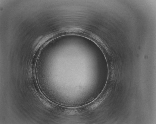 X0000085250978200703091253