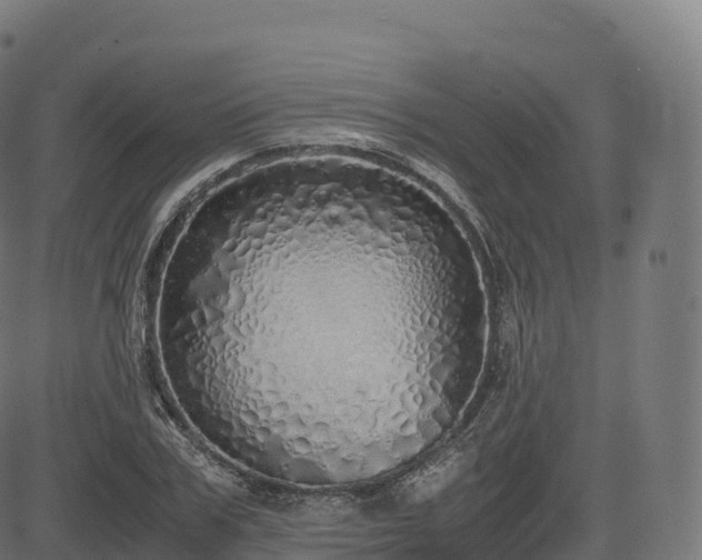 X0000085250979200703091253