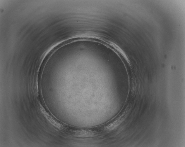 X0000085250980200703091253