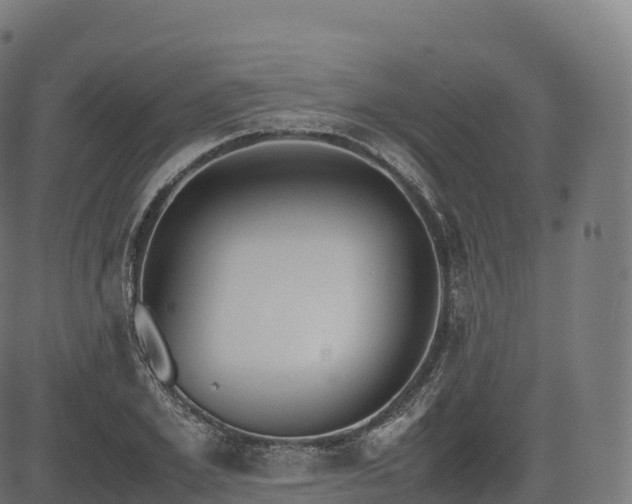 X0000085250981200703091253