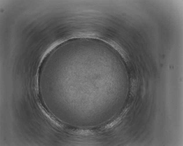 X0000085250982200703091253