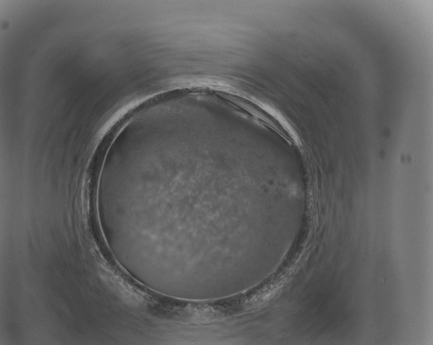 X0000085250983200703091253