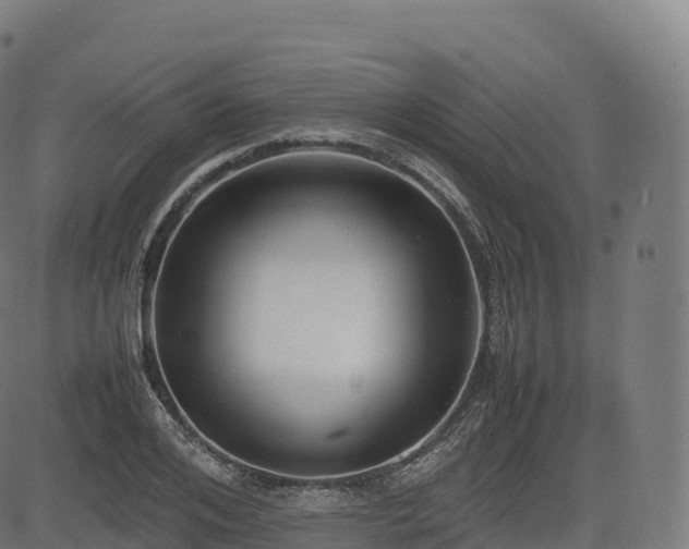 X0000085250984200703091253