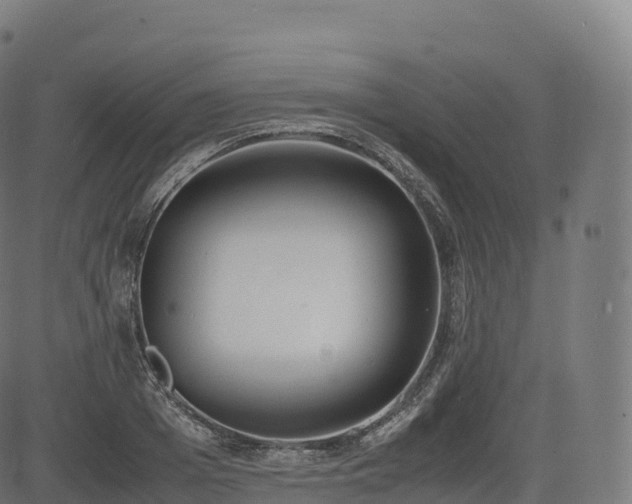 X0000085250985200703091253