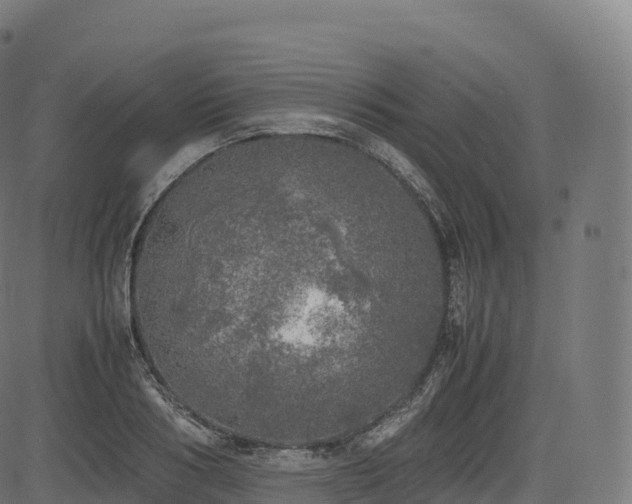 X0000085250986200703091253