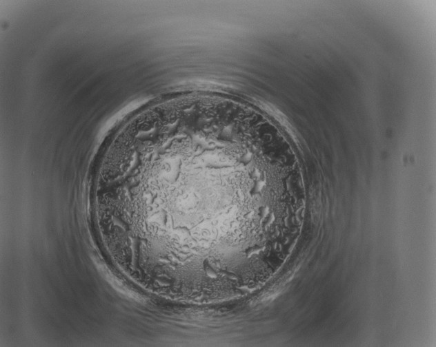 X0000085250987200703091253