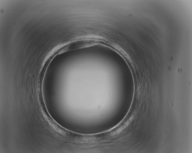 X0000085250989200703091253