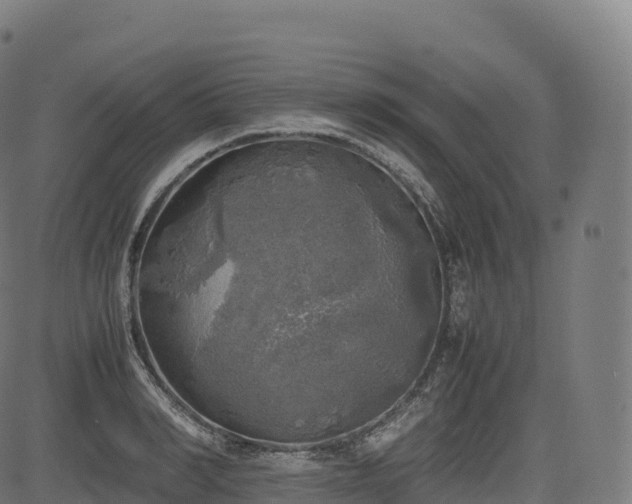 X0000085250990200703091253