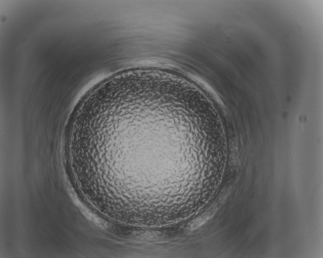 X0000085250991200703091253