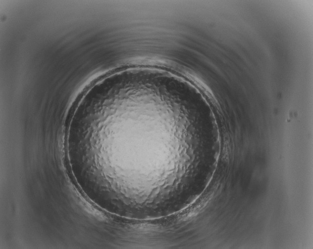 X0000085250992200703091253