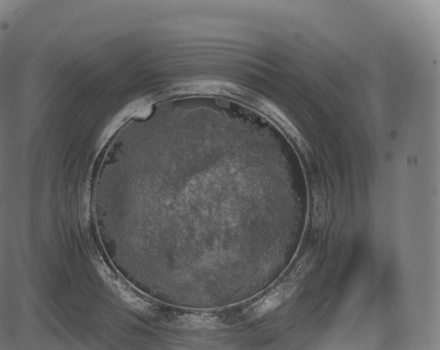 X0000085250994200703091253