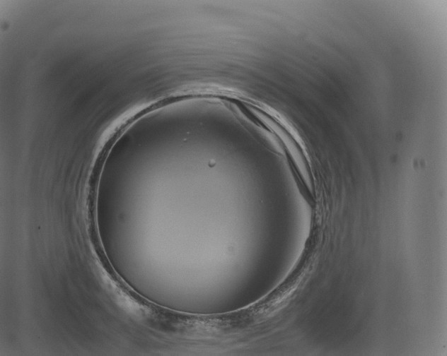 X0000085250995200703091253