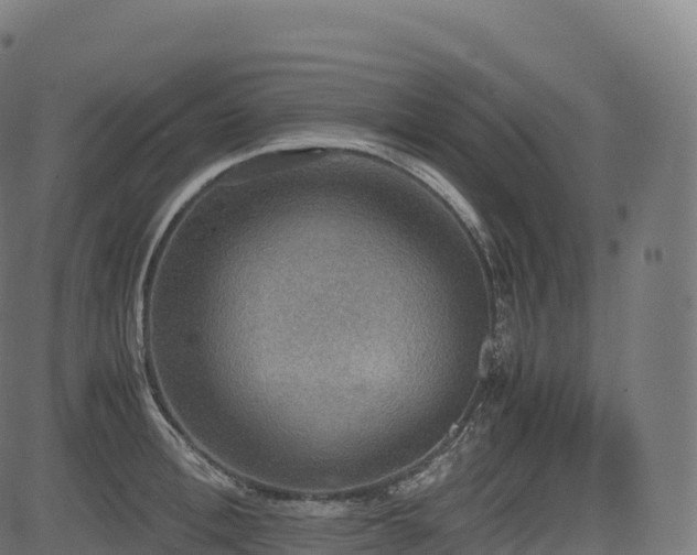 X0000085250996200703091253