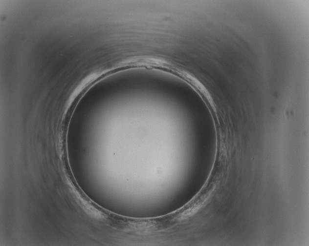 X0000085250997200703091253