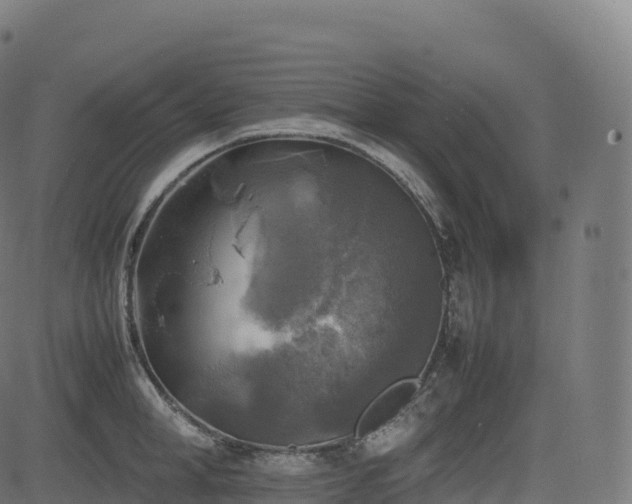 X0000085250998200703091253