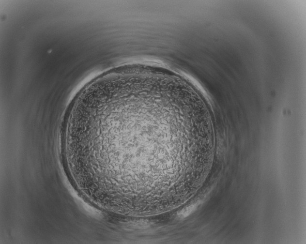 X0000085250999200703091253