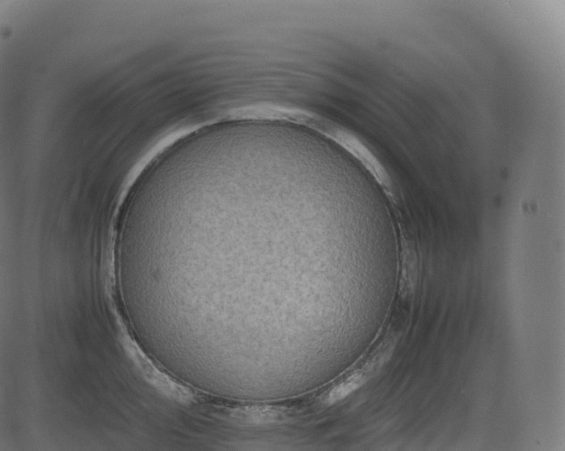 X0000085251000200703091253