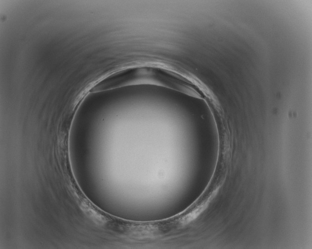 X0000085251001200703091253